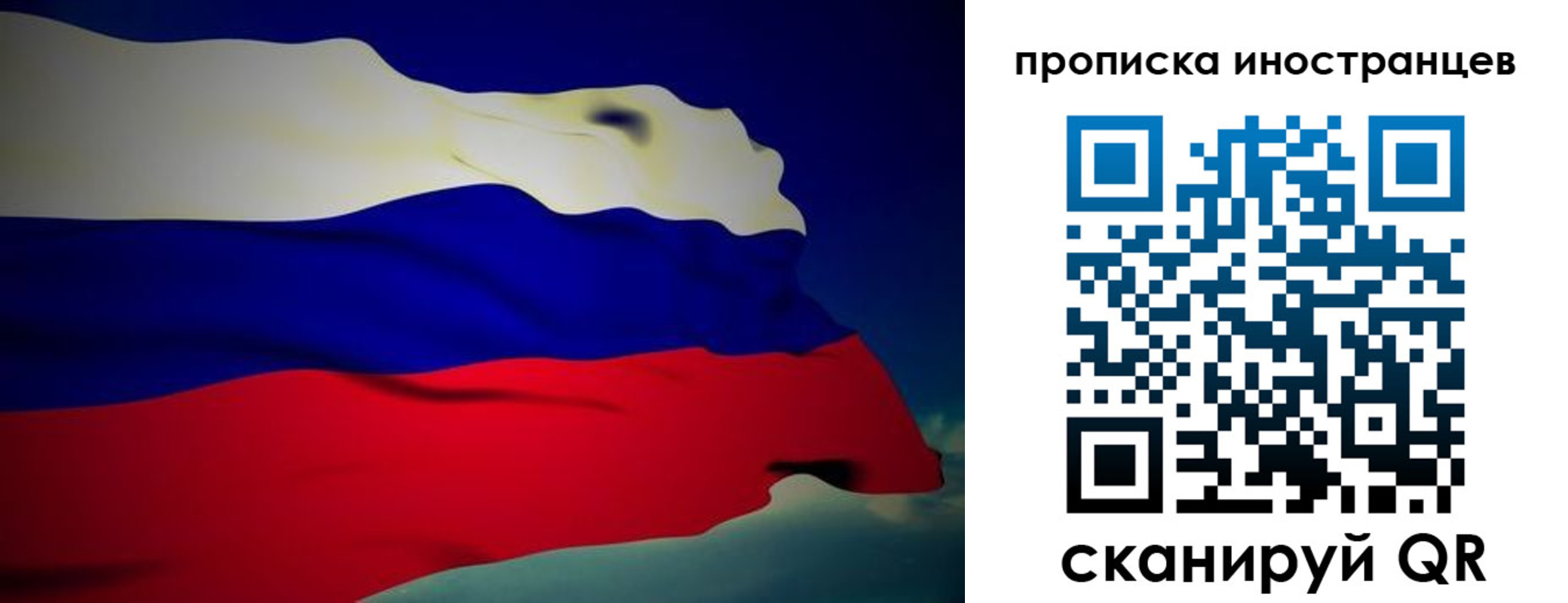 найти адрес прописки в Сертолово